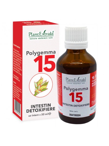 Polygemma 15 - Intestin...