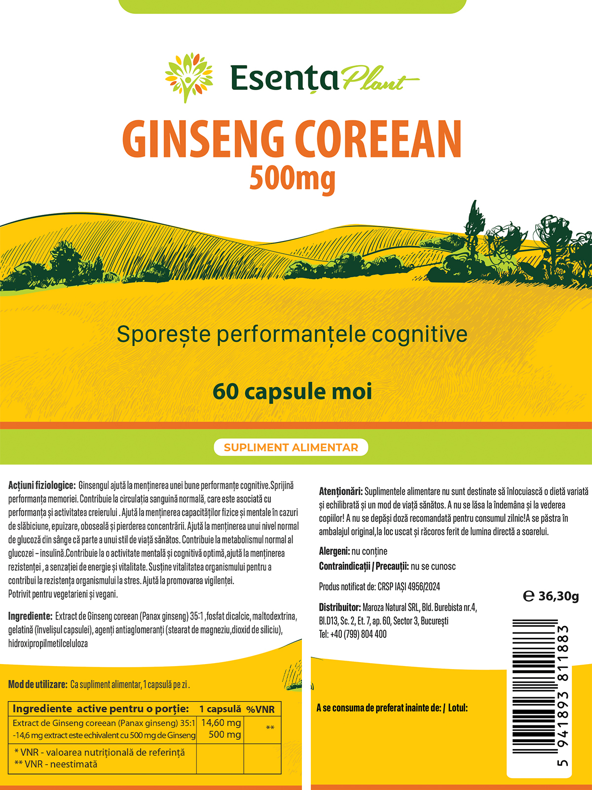 Ginseng Coreean 500 mg