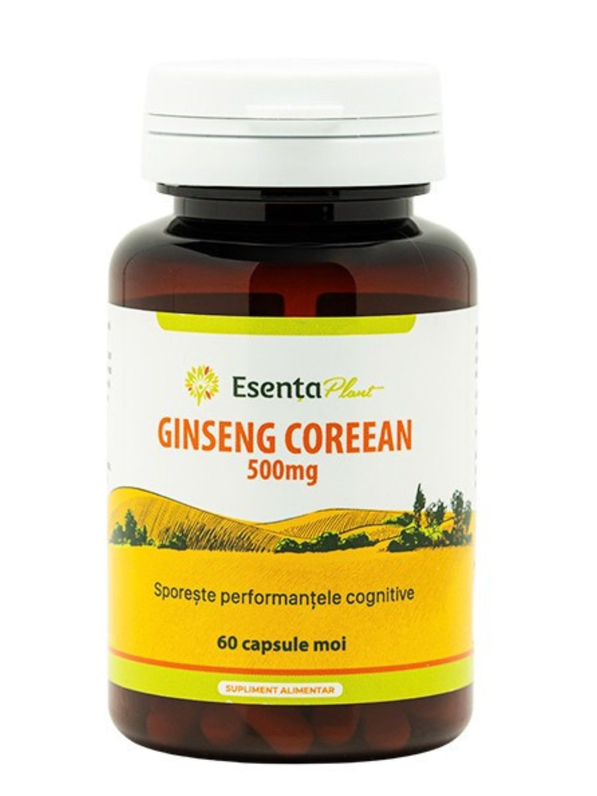Ginseng Coreean 500 mg
